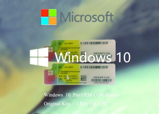 China Software de língua CHAVE de série de trabalho chave do produto original de Windows 10 multi fornecedor